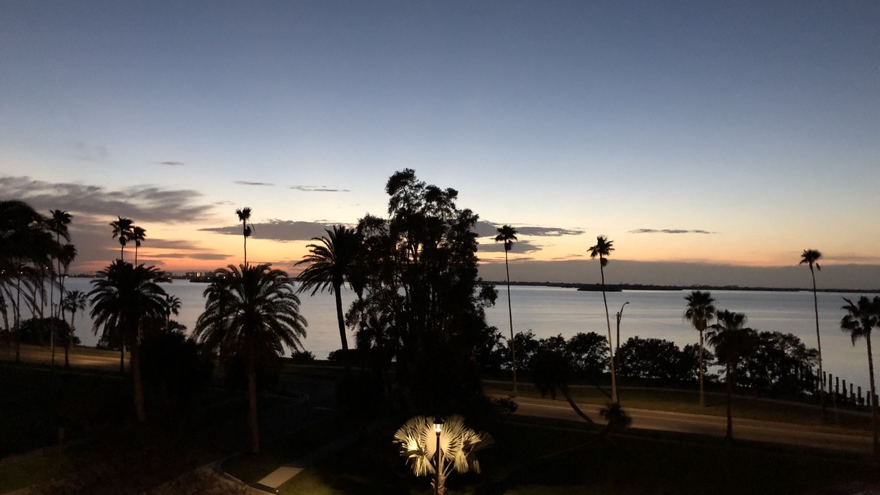 Photo of Others in Dunedin