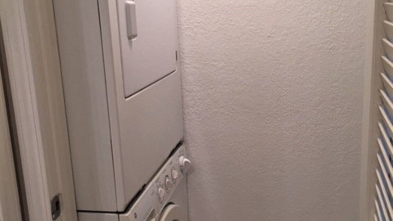 Photo of Others in Dunedin