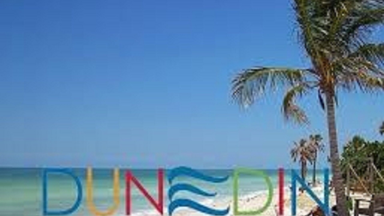 Photo of Others in Dunedin