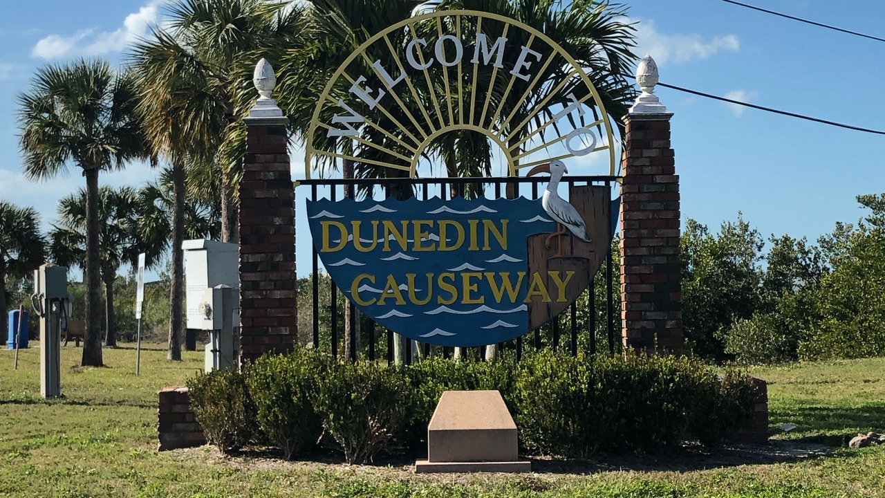 Photo of Others in Dunedin