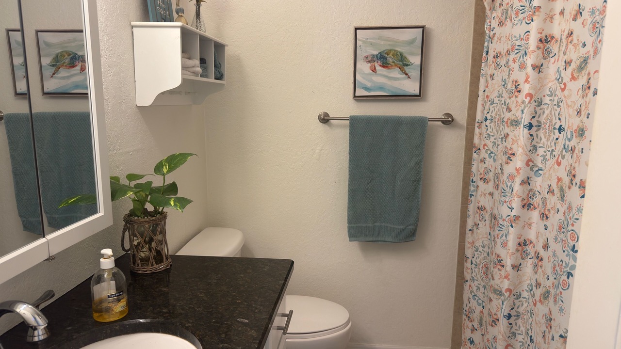 Photo of Bathroom in Dunedin