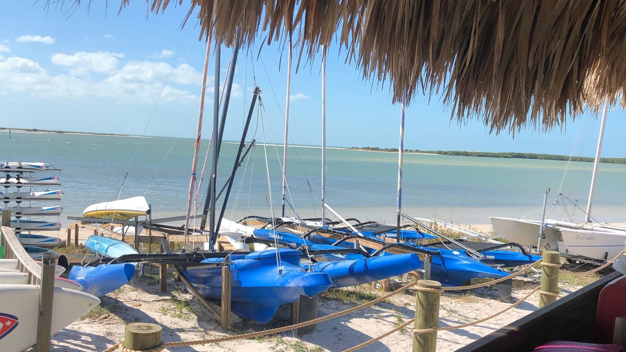 Photo of Others in Dunedin