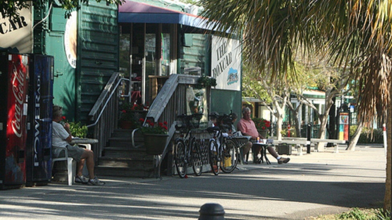 Photo of Others in Dunedin