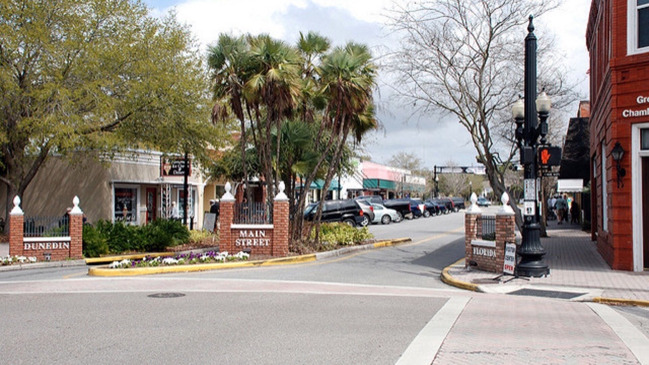 Photo of Others in Dunedin