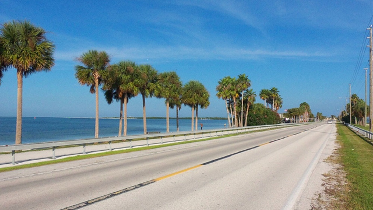 Photo of Others in Dunedin
