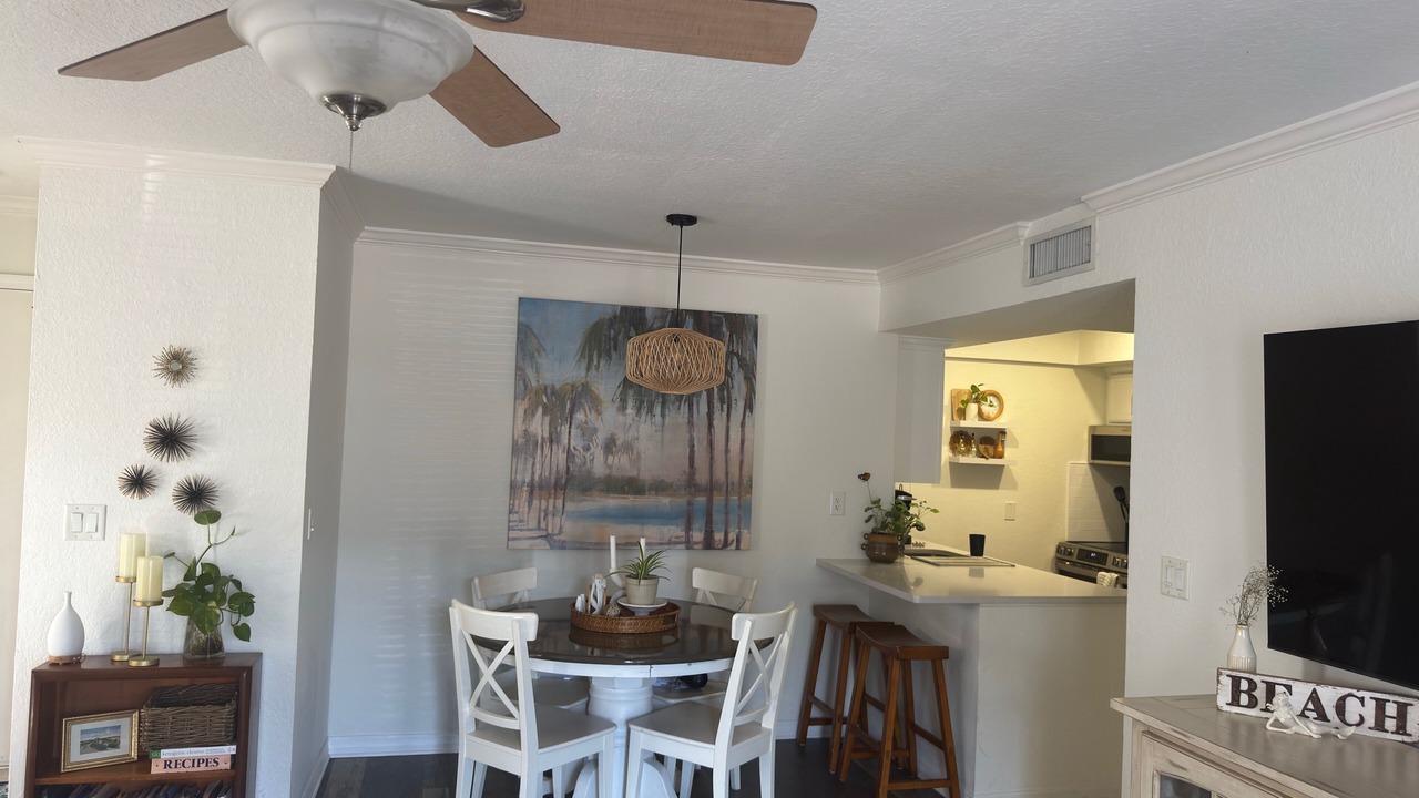 Photo of Others in Dunedin