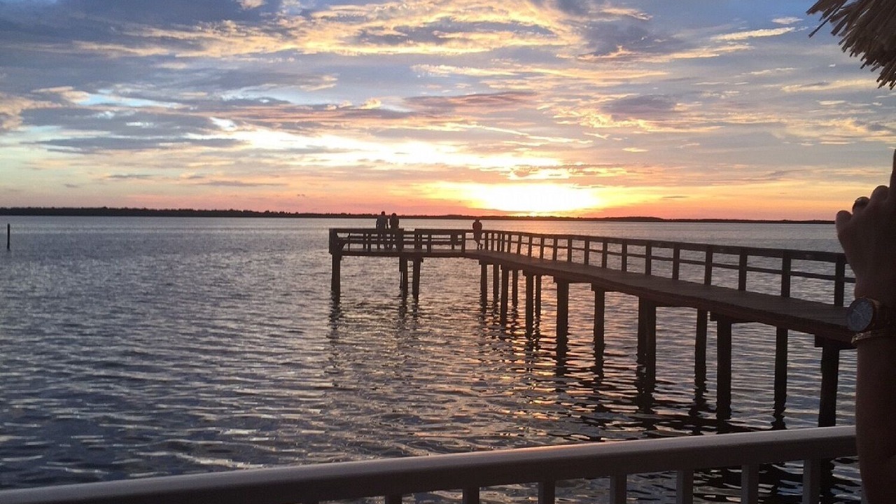 Photo of Others in Dunedin