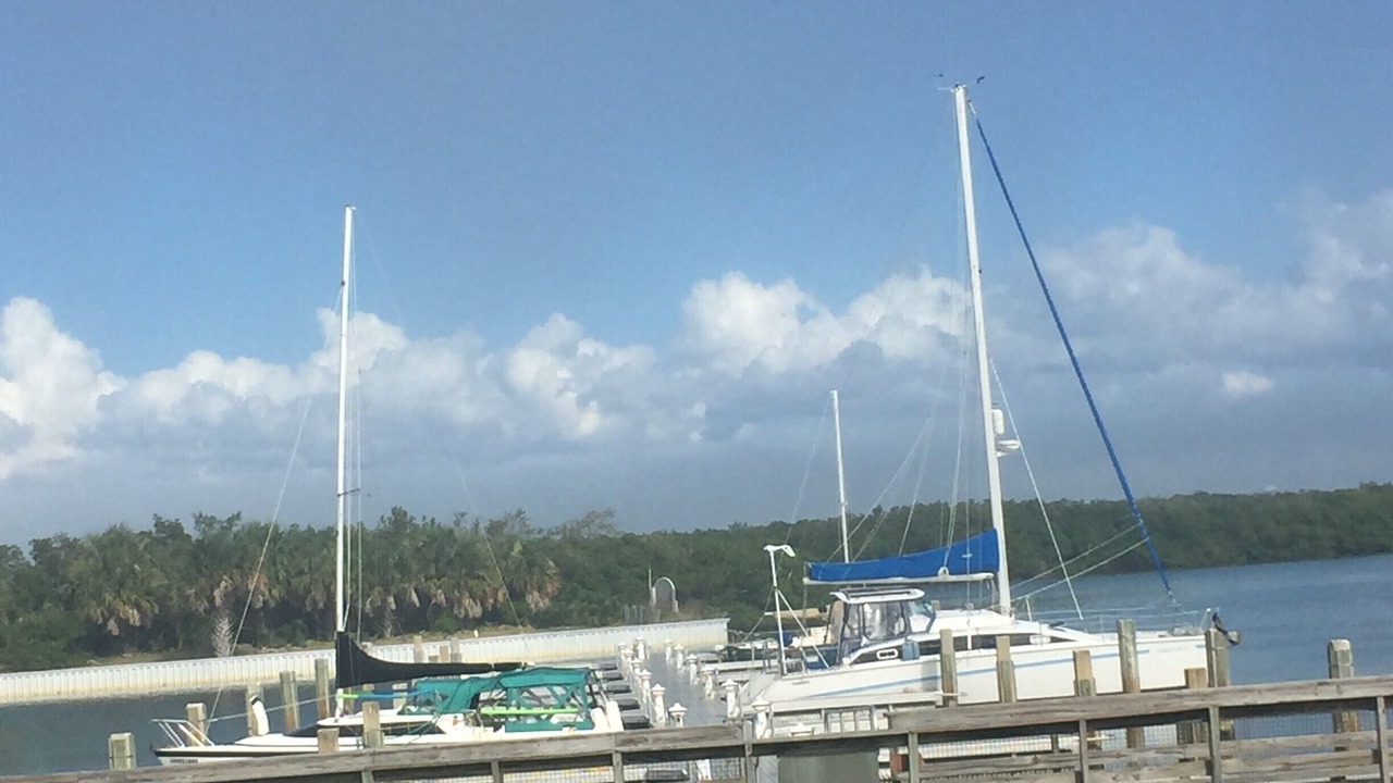 Photo of Others in Dunedin