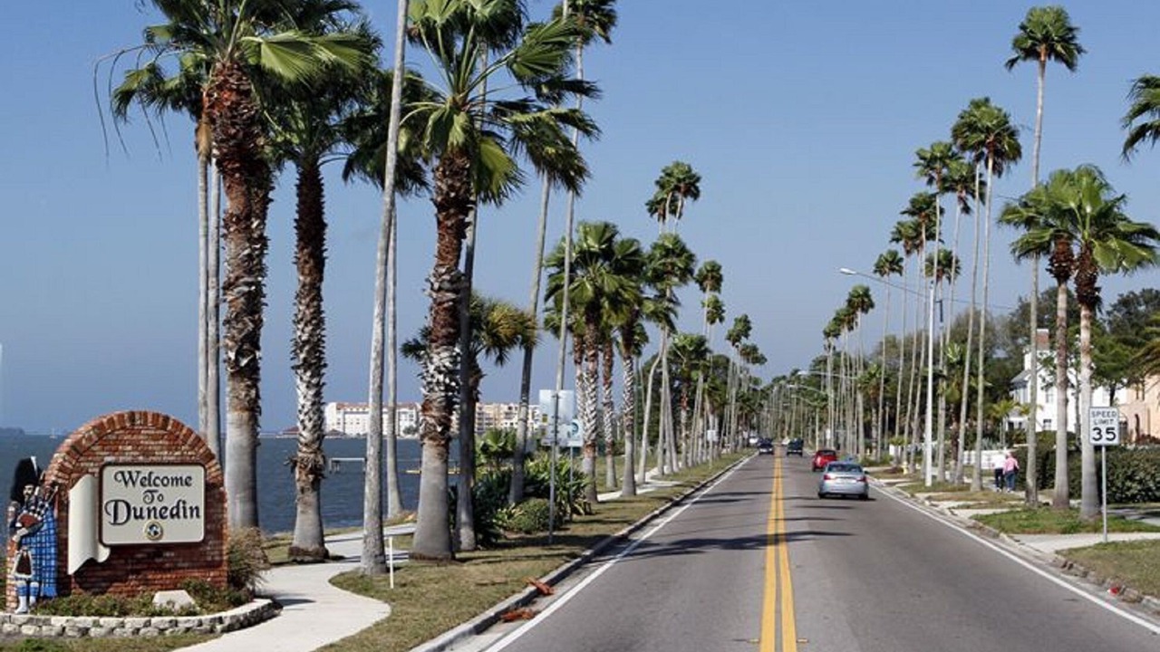 Photo of Others in Dunedin