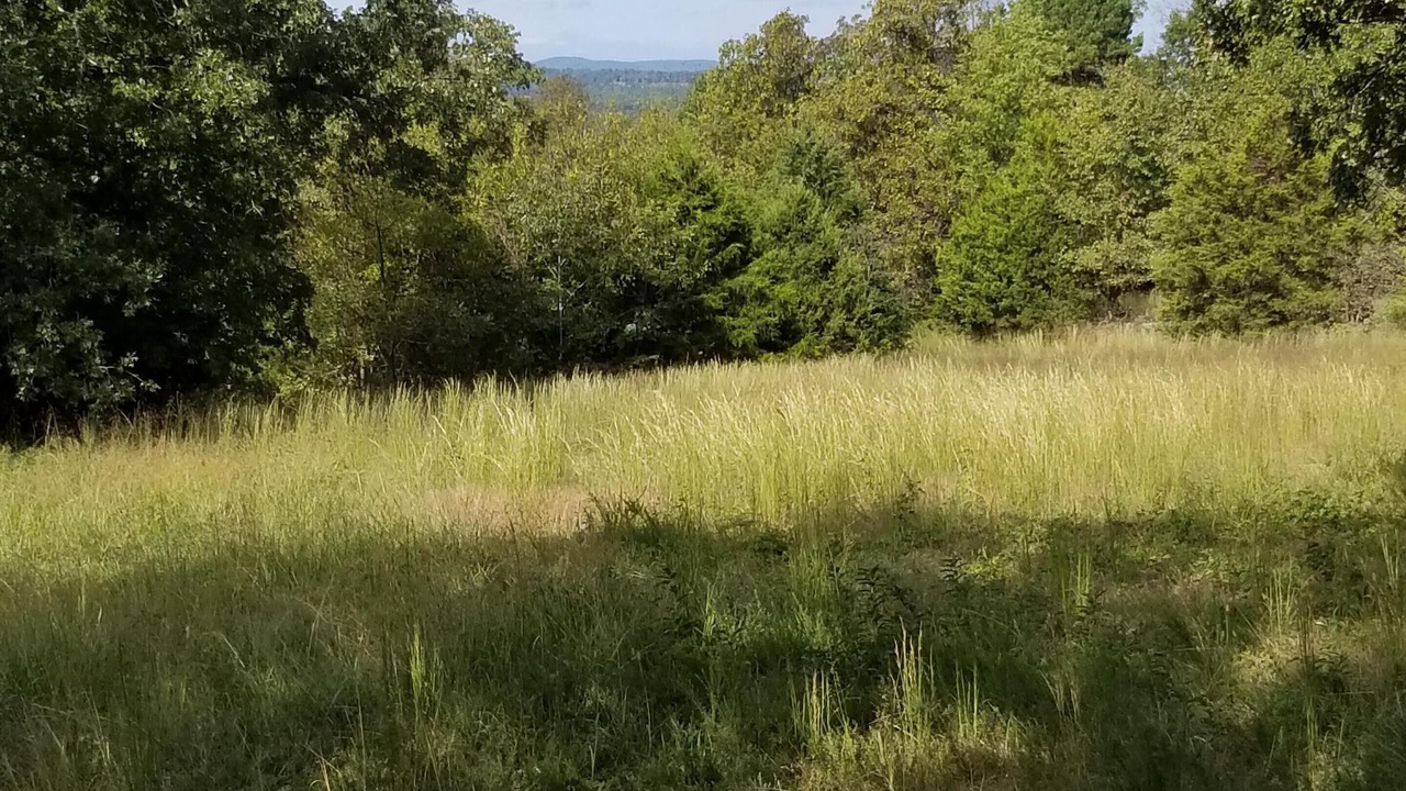 Photo of Outdoor in Tecumseh