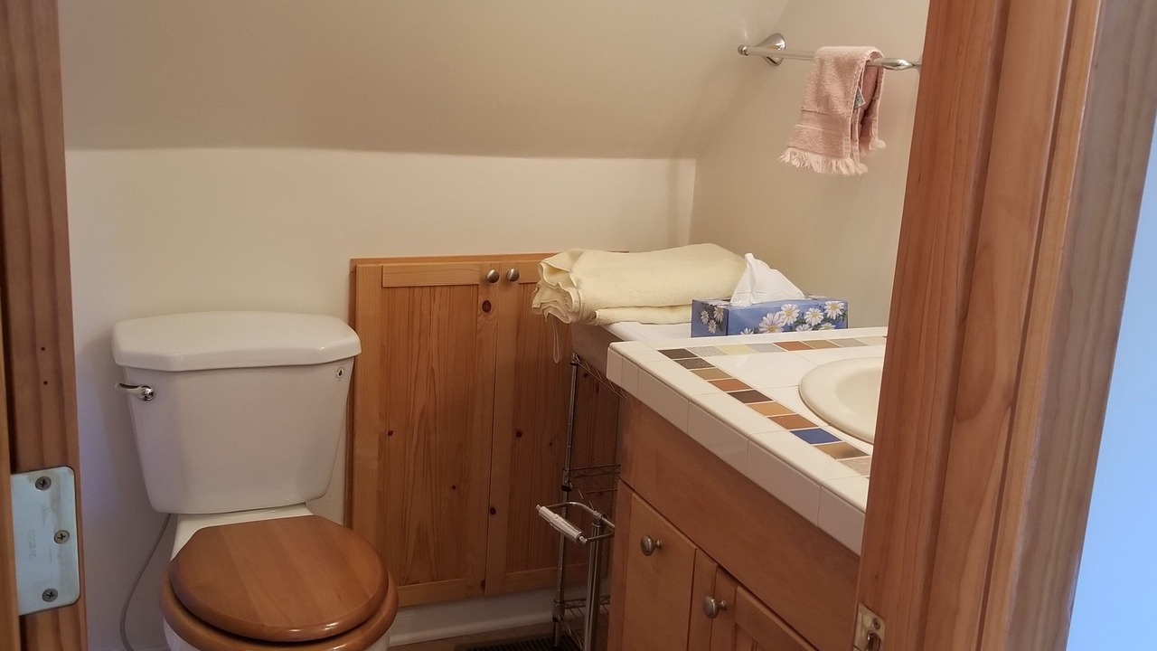 Photo of Bathroom in Tecumseh