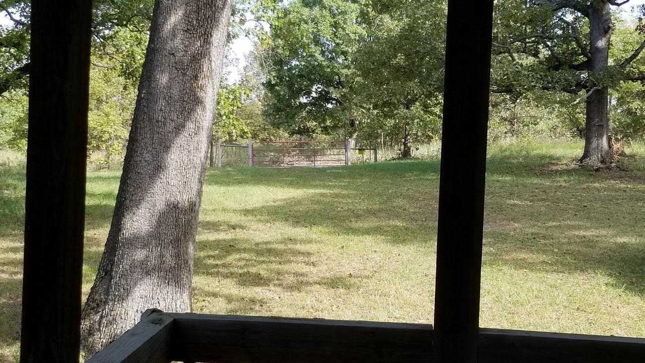 Photo of Outdoor in Tecumseh