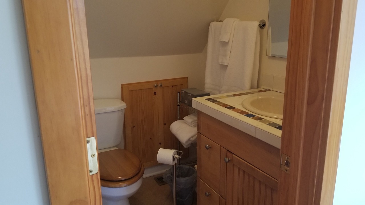 Photo of Bathroom in Tecumseh