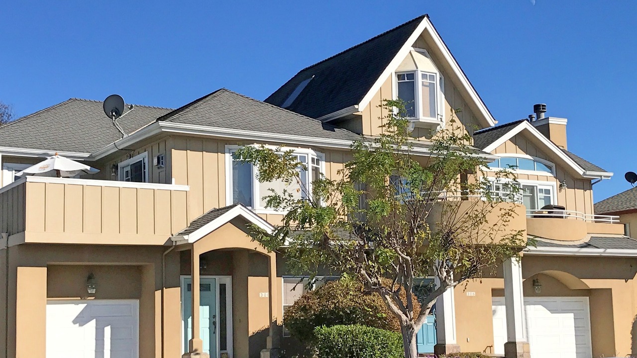 Photo of Outdoor in Seabright