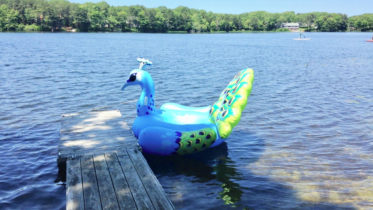 Photo of Others in South Yarmouth