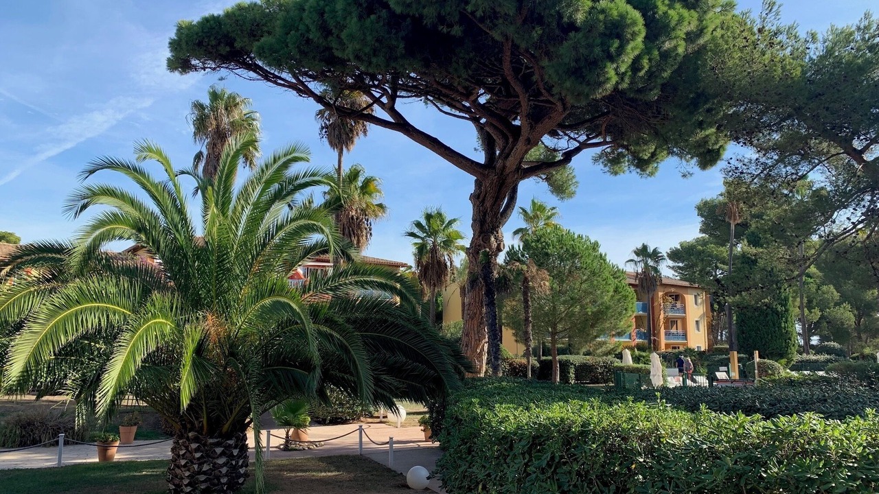 Photo of Outdoor in Giens