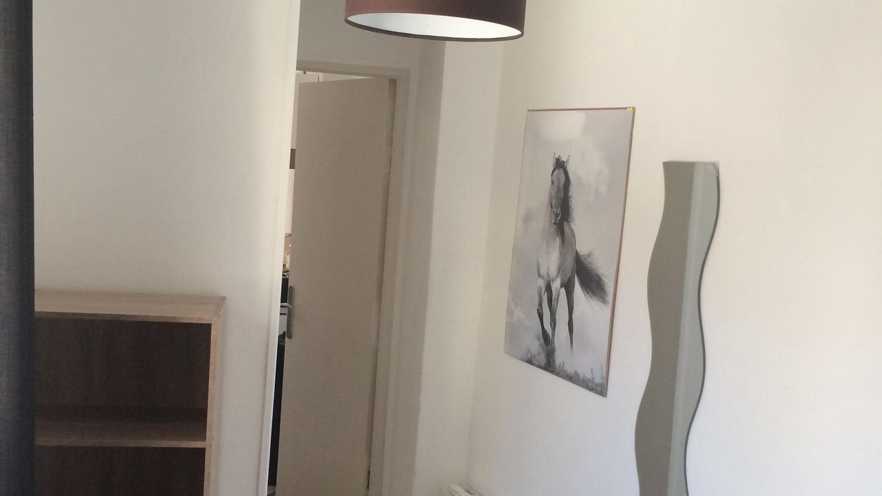 Photo of Others in Orleans