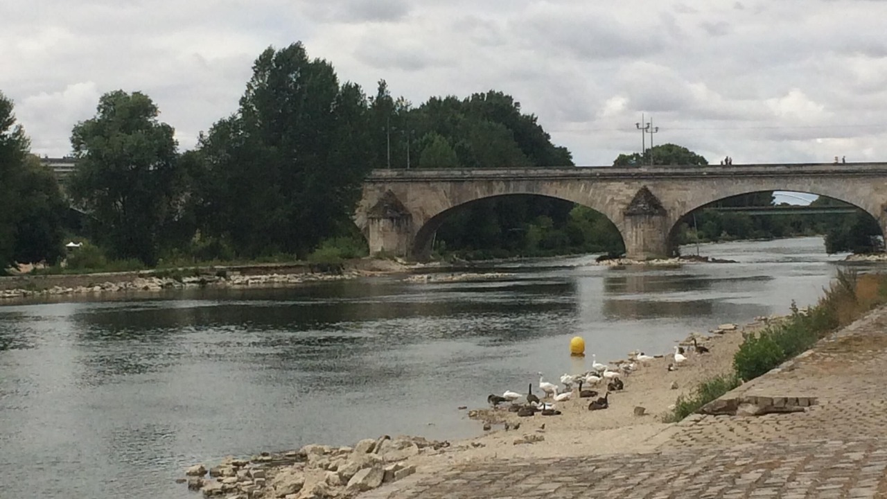 Photo of Others in Orleans