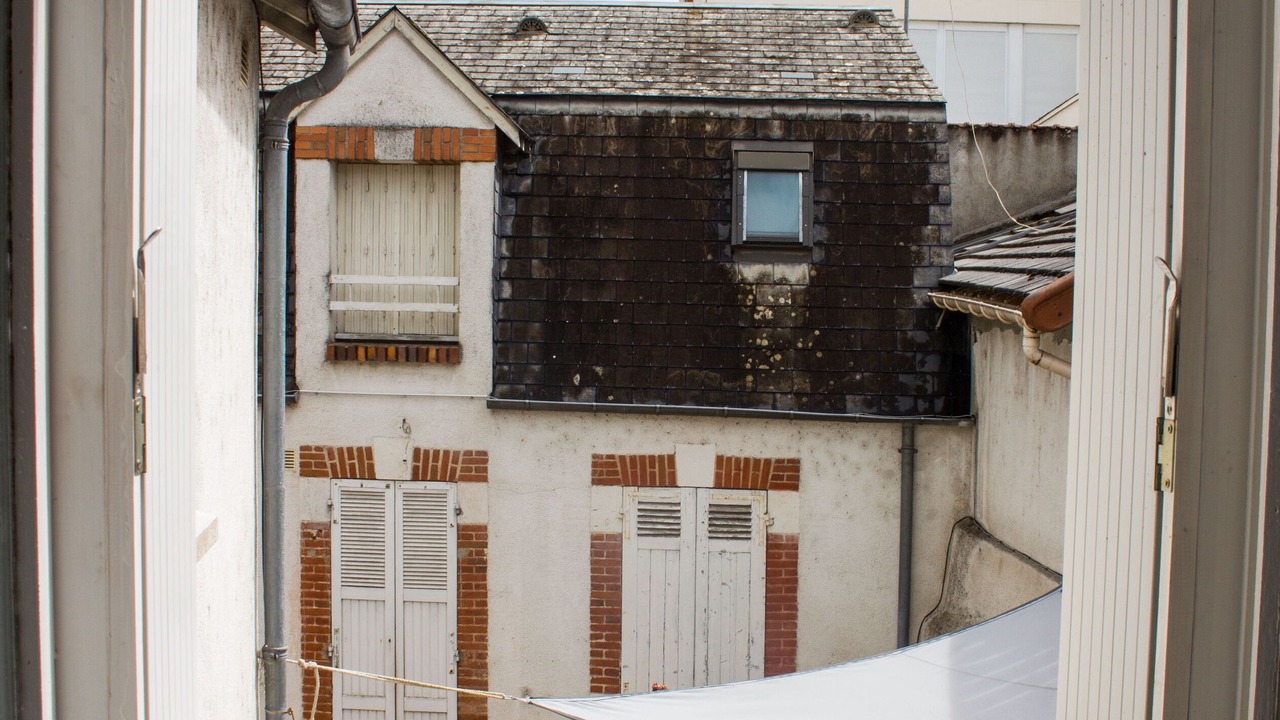 Photo of Others in Orleans