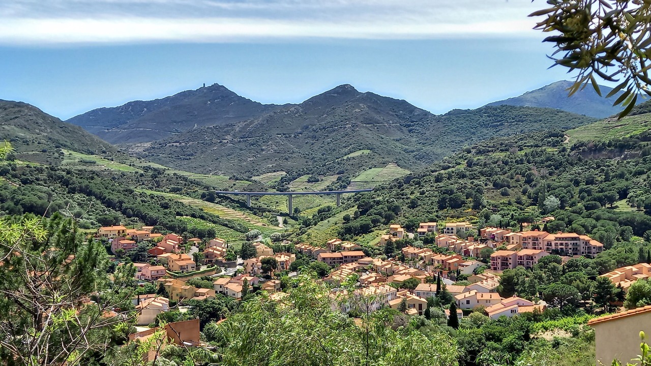 Photo of Others in Collioure