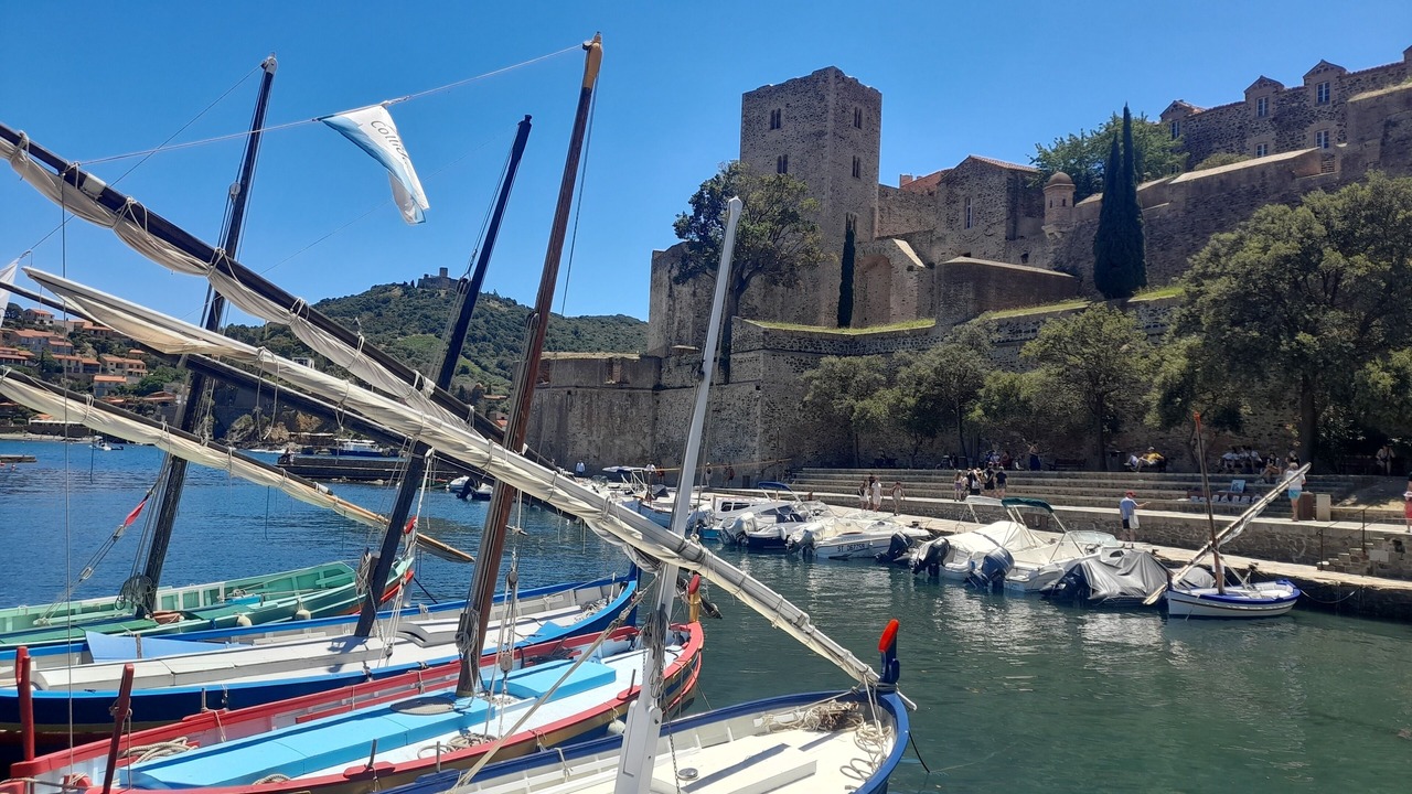 Photo of Others in Collioure