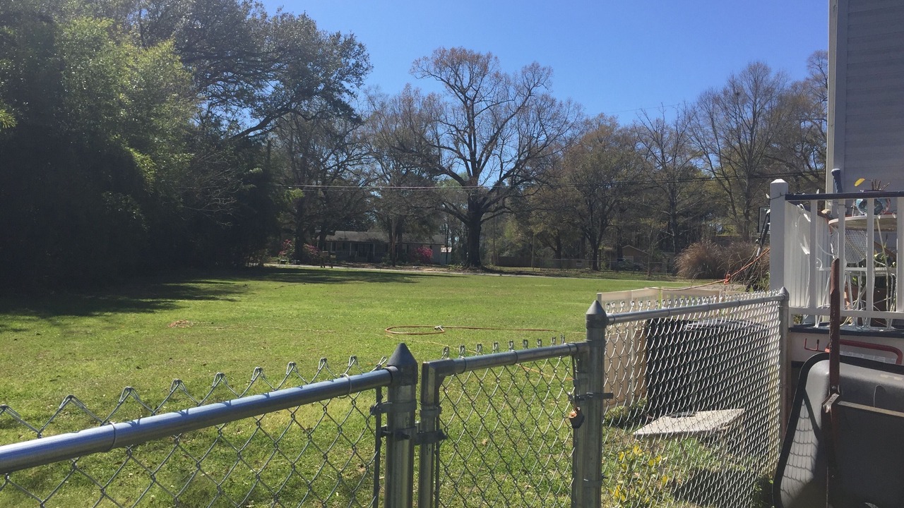 Photo of Outdoor in Picayune