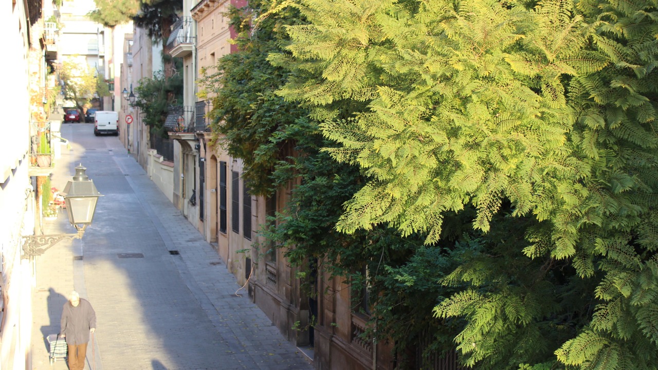 Photo of Outdoor in Sarria