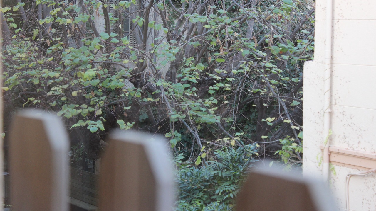 Photo of Outdoor in Sarria