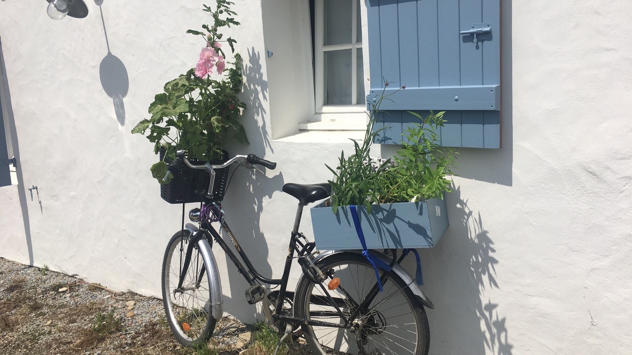 Photo of Outdoor in Noirmoutier-en-l'Ile