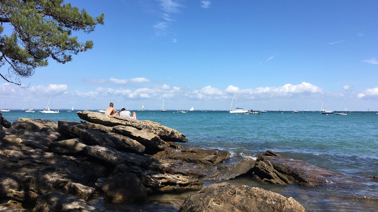 Photo of Others in Noirmoutier-en-l'Ile