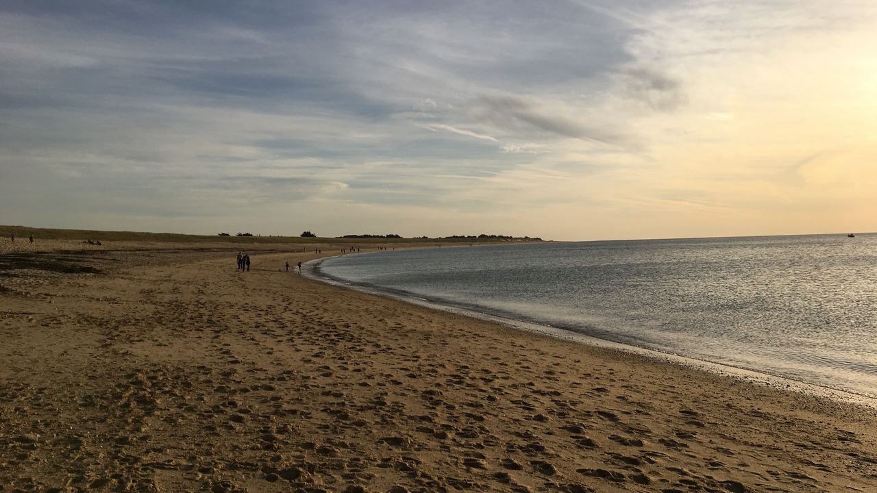Photo of Others in Noirmoutier-en-l'Ile