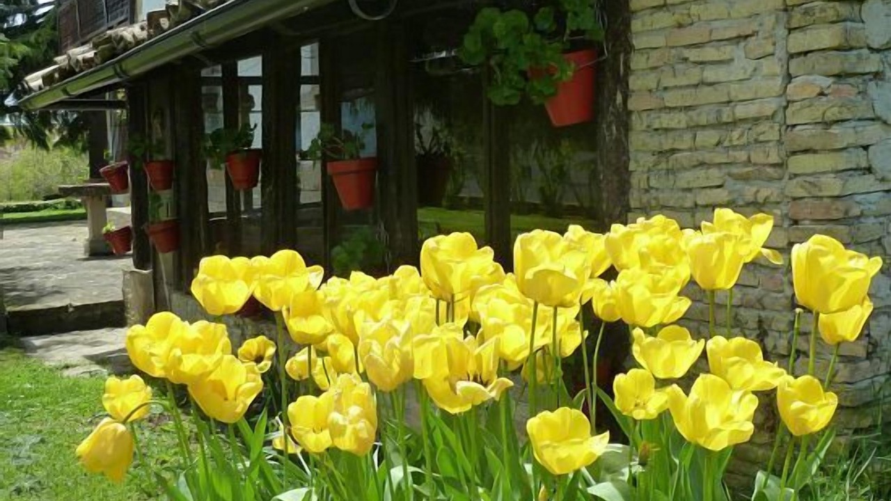 Photo of Outdoor in Egues