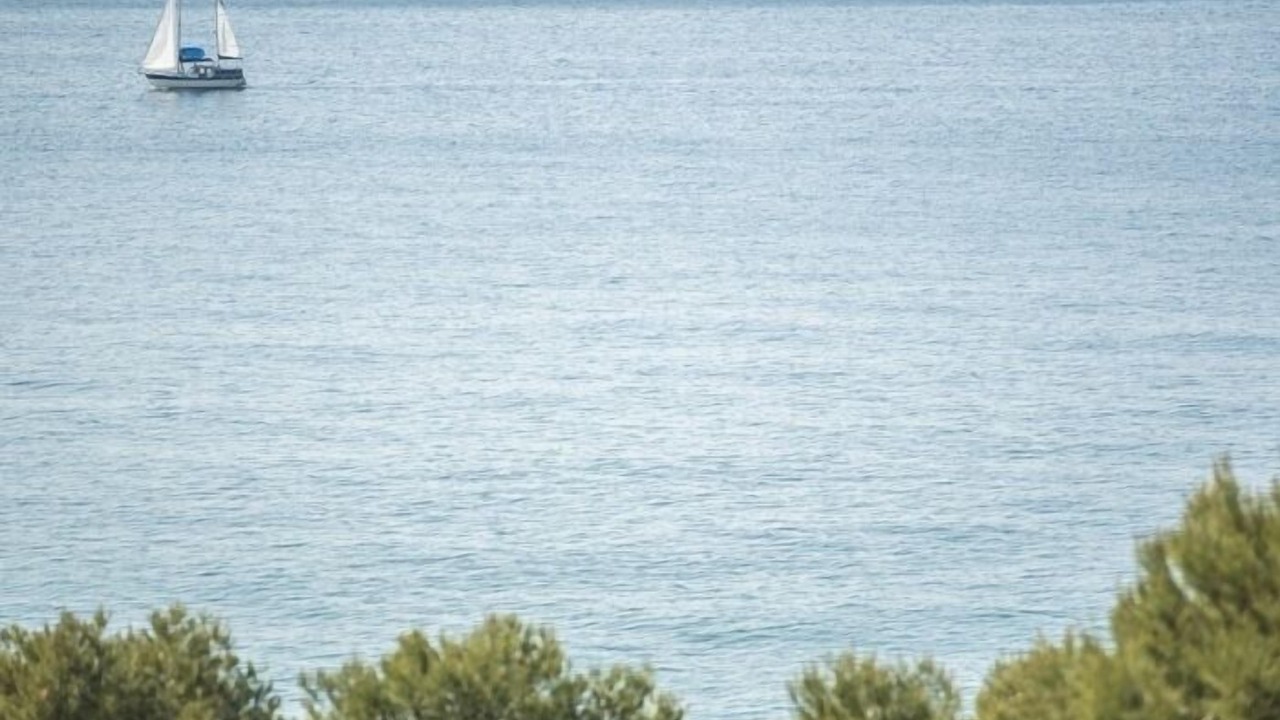 Photo of Others in Tamarit