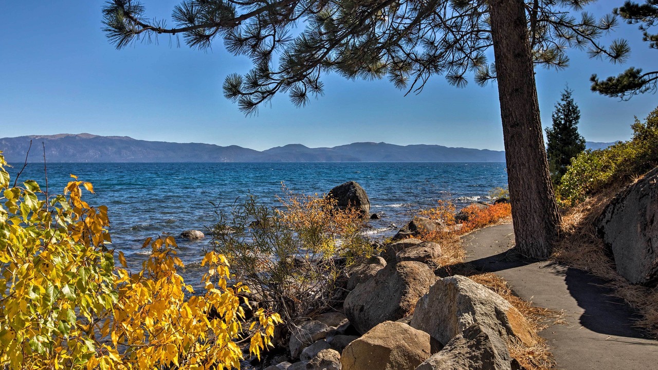 Photo of Outdoor in Dollar Point