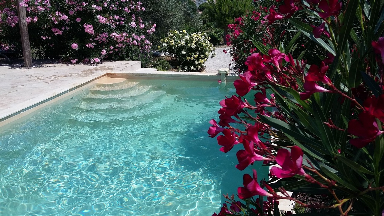 Photo of Outdoor in Saint-Nazaire