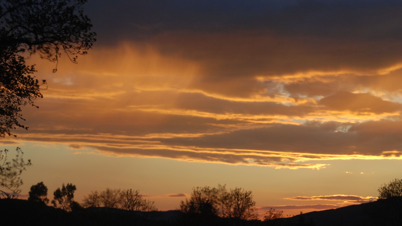 Photo of Others in Taynuilt