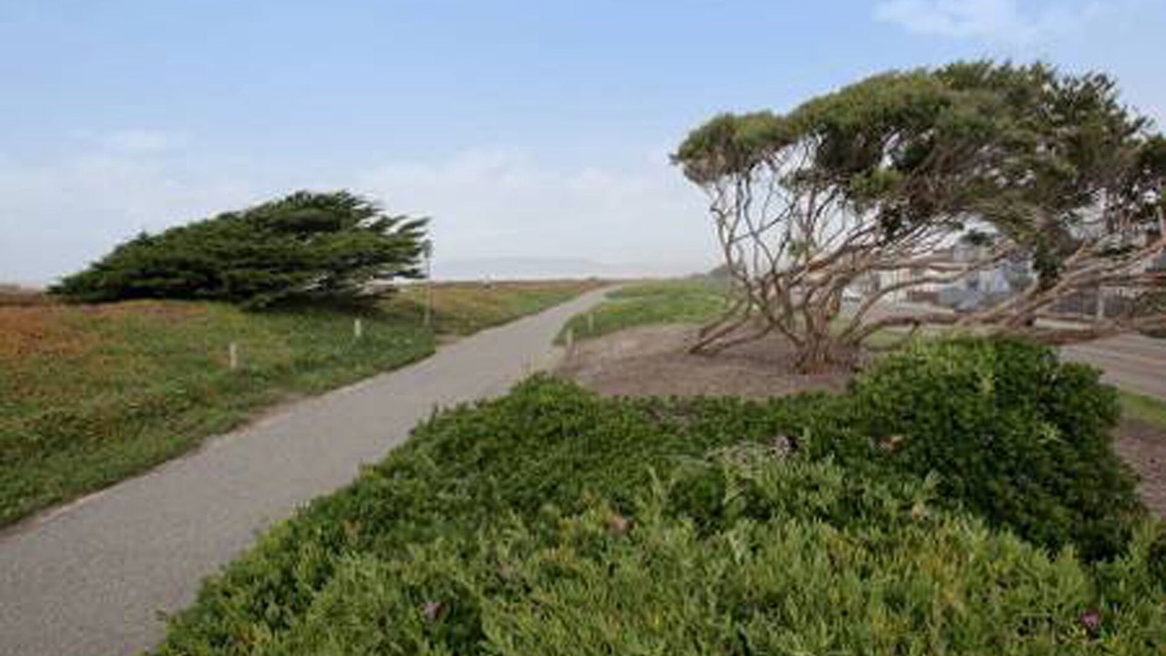 Photo of Outdoor in Parkside