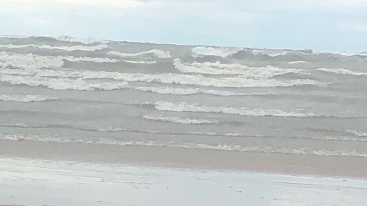 Photo of Others in South Haven