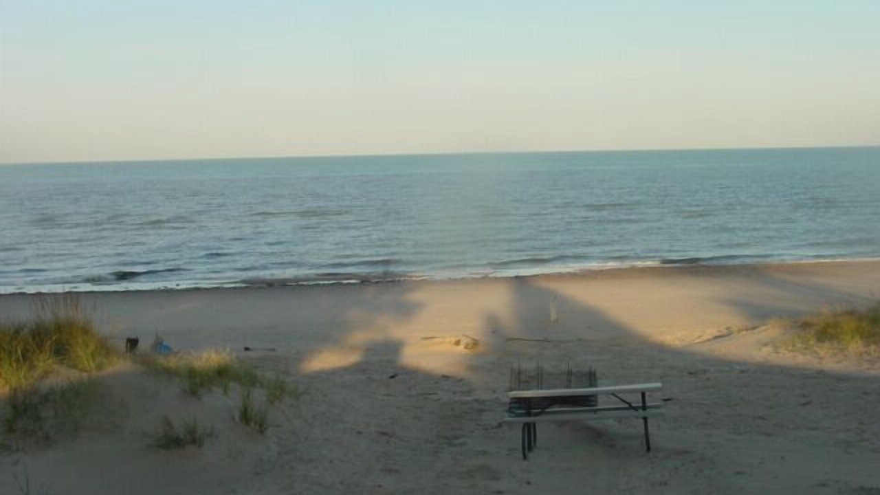 Photo of Others in South Haven