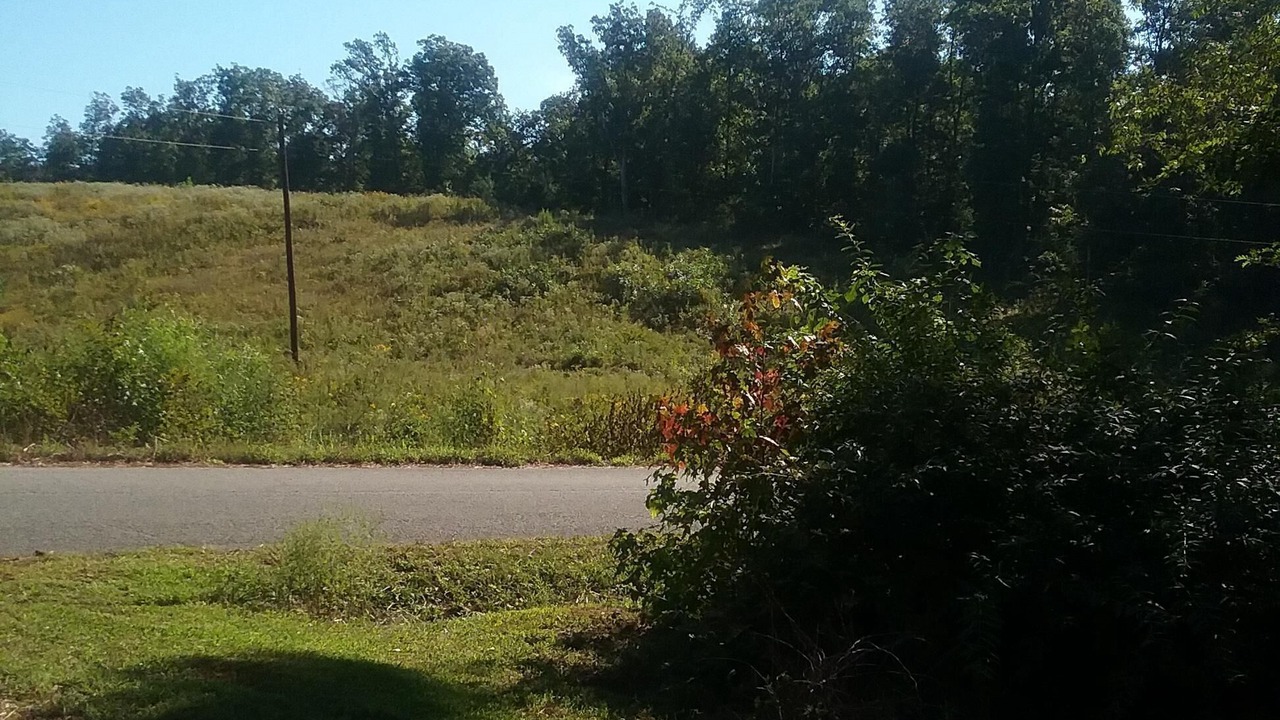 Photo of Outdoor in Big Sandy