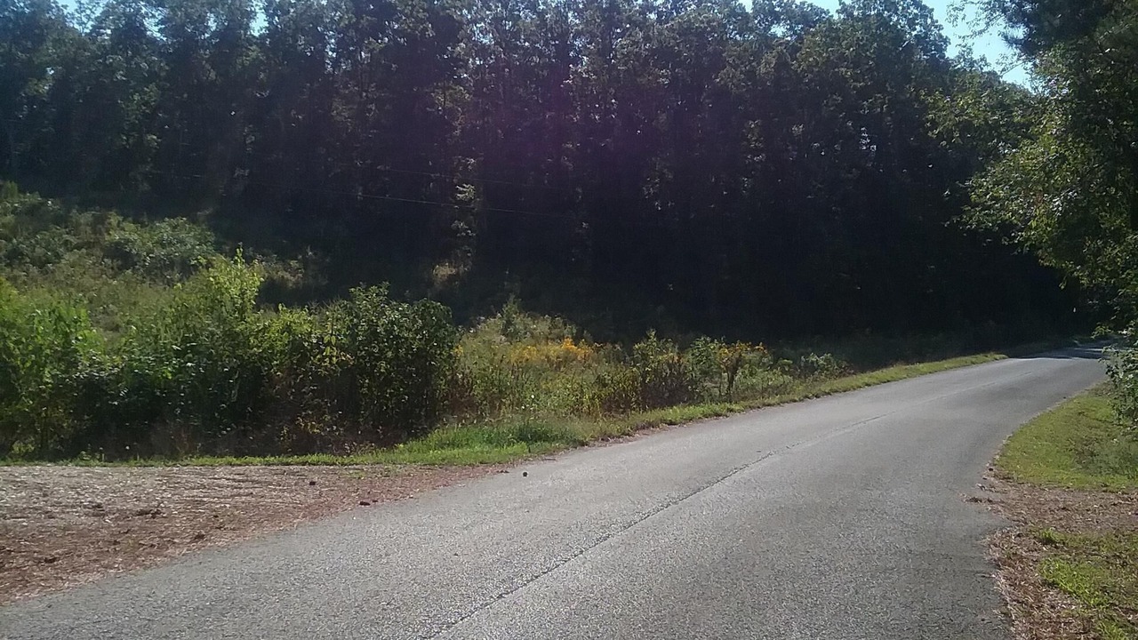 Photo of Outdoor in Big Sandy