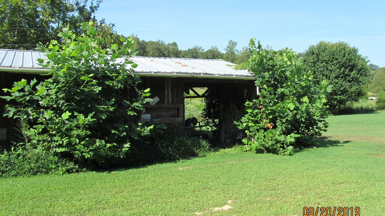 Photo of Outdoor in Big Sandy