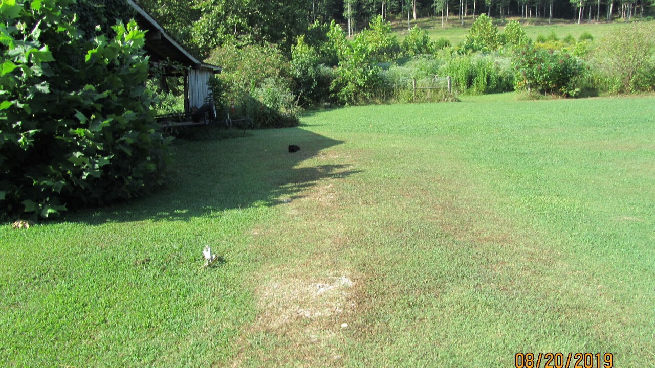 Photo of Outdoor in Big Sandy