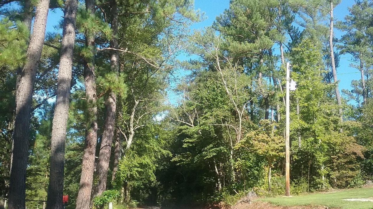 Photo of Outdoor in Big Sandy