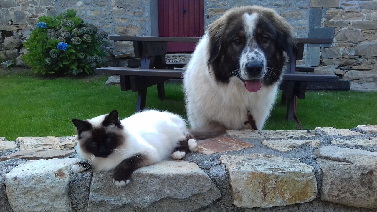 Photo of Outdoor in Plougastel-Daoulas