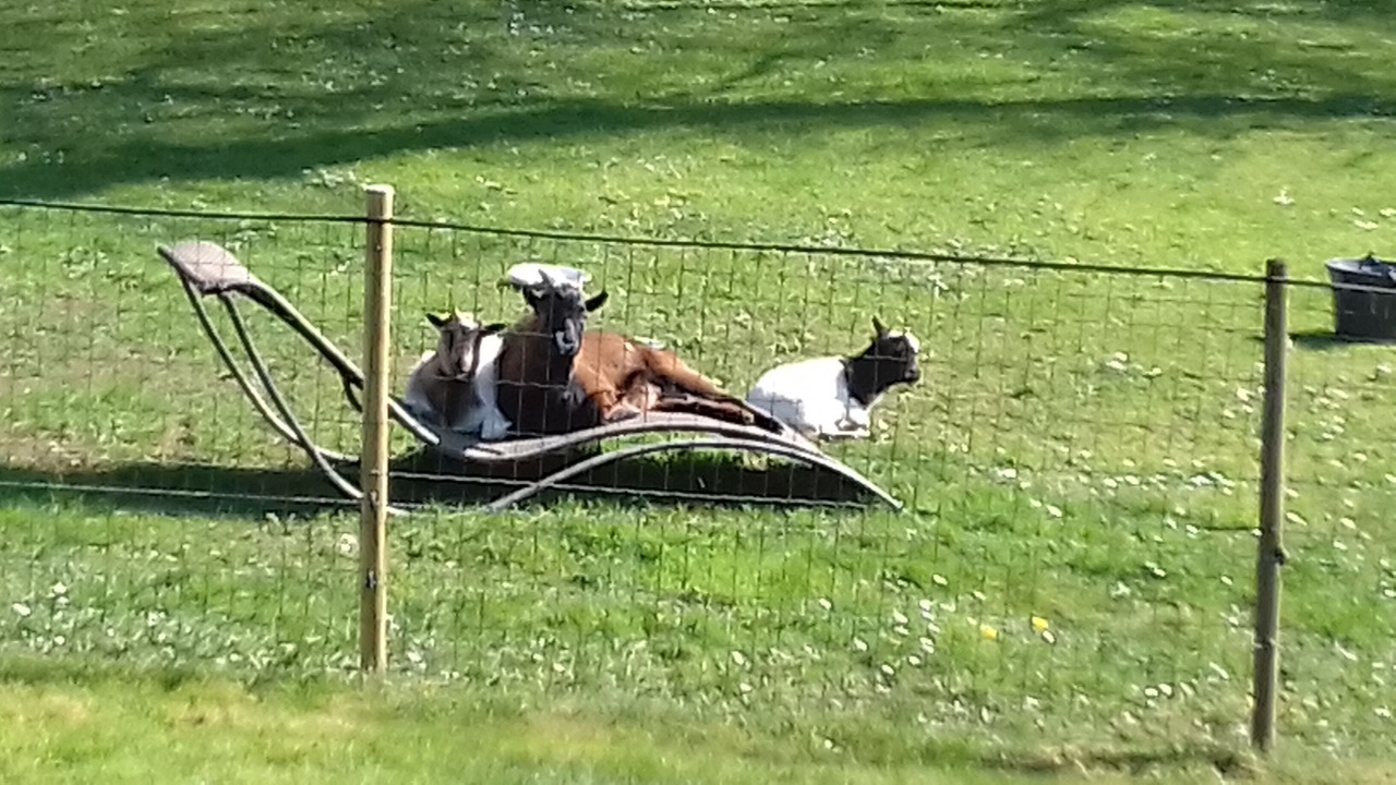 Photo of Others in Plougastel-Daoulas