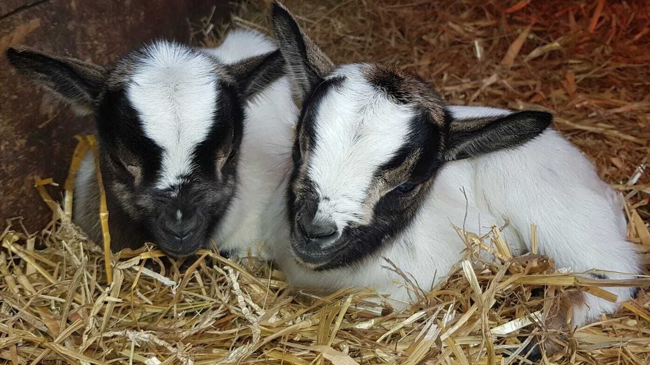 Photo of Others in Plougastel-Daoulas