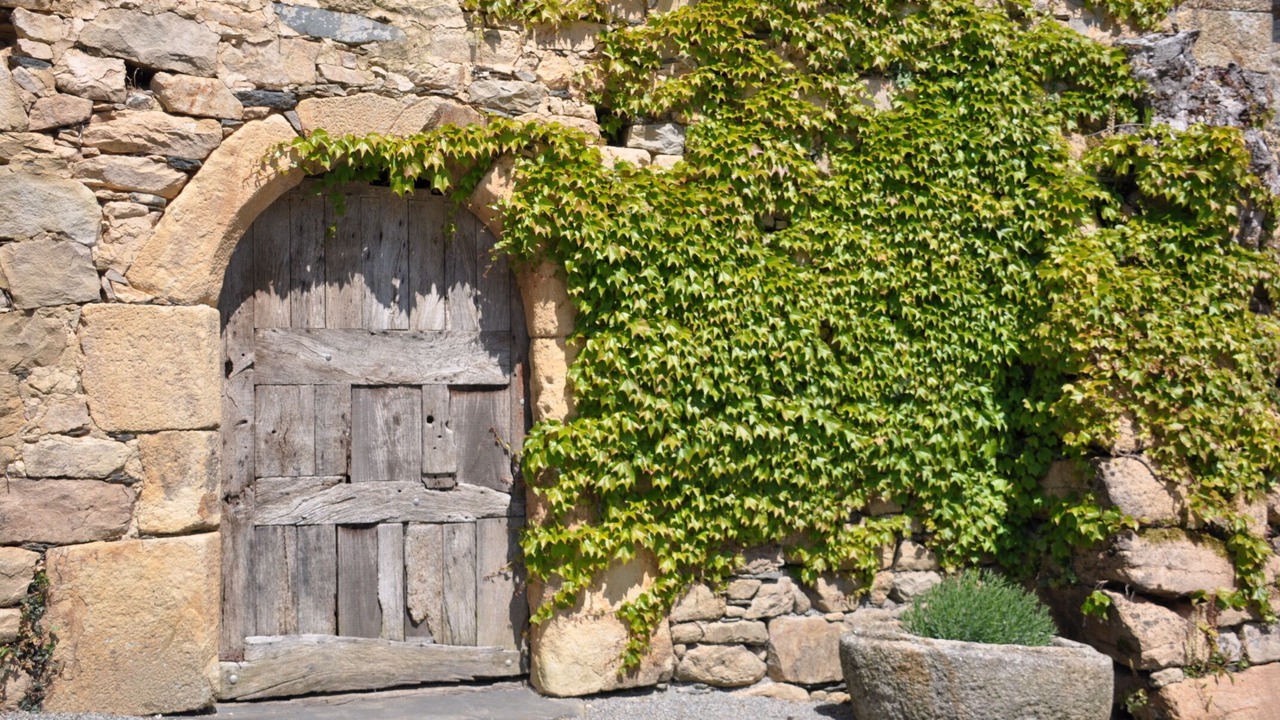 Photo of Outdoor in Plougastel-Daoulas