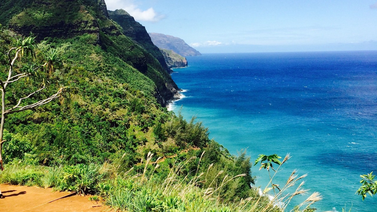 Photo of Outdoor in Wailua