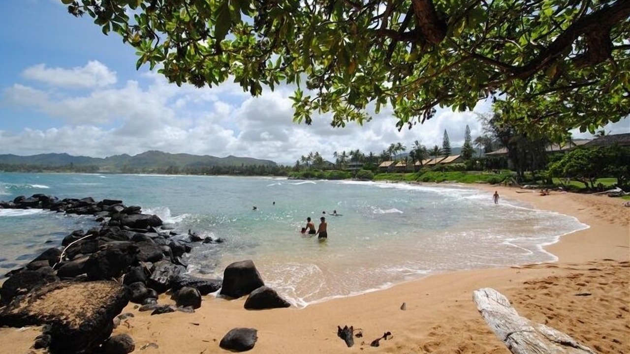 Photo of Others in Wailua